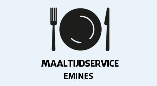 bereidde maaltijden aan huis in emines